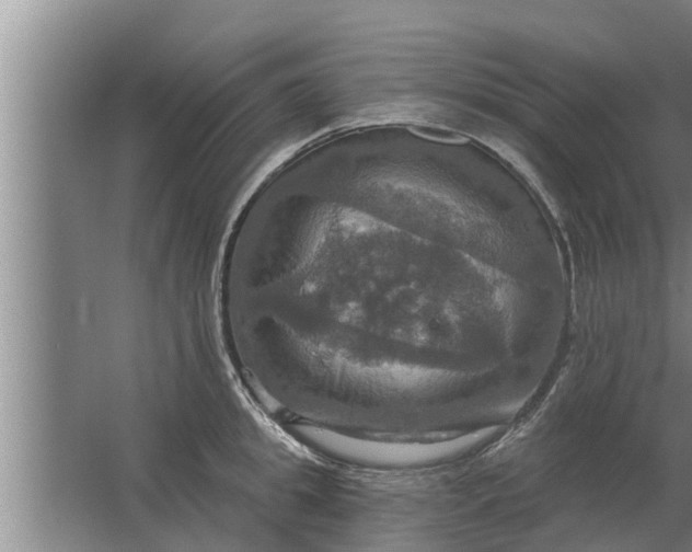 X0000063510949200602032040