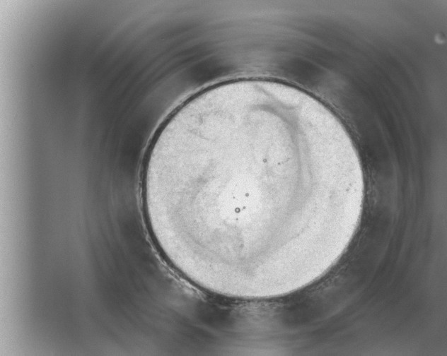 X0000063510950200602032040