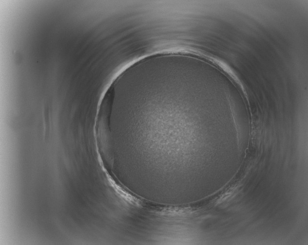 X0000063510951200602032040