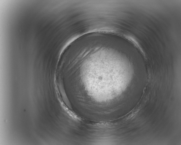 X0000063510952200602032040