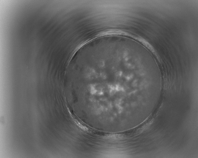 X0000063510953200602032040