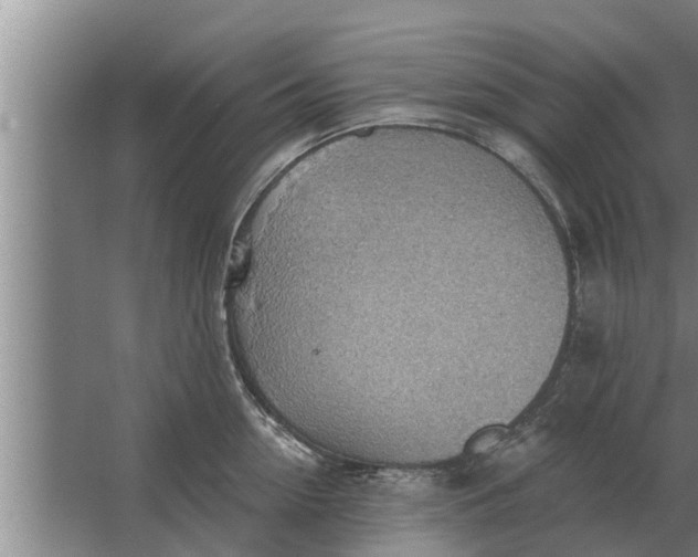 X0000063510954200602032040