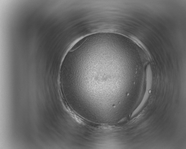 X0000063510956200602032040