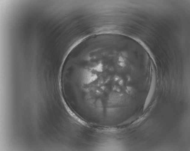 X0000063510957200602032040