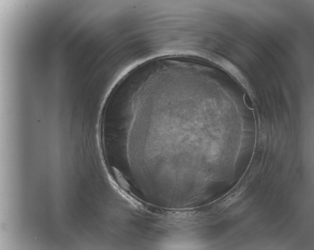 X0000063510958200602032040