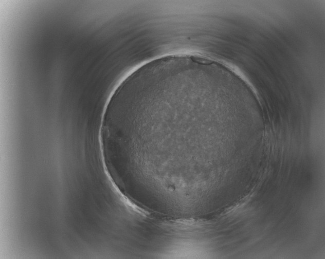 X0000063510959200602032040