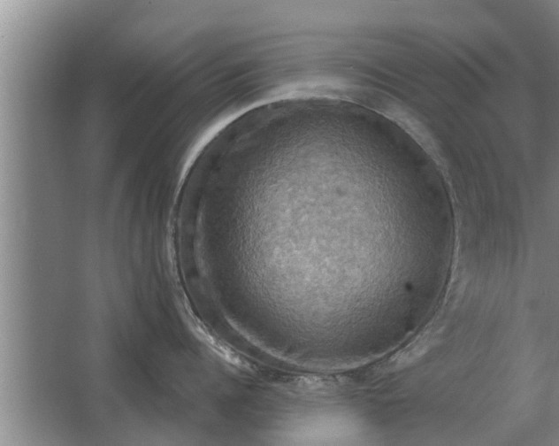 X0000063510960200602032040