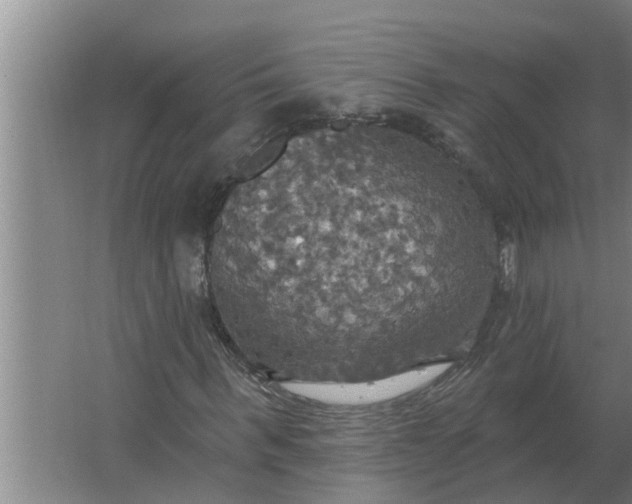 X0000063510963200602032039