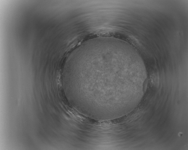 X0000063510964200602032039