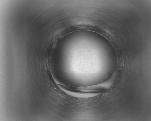 X0000063510965200602032039