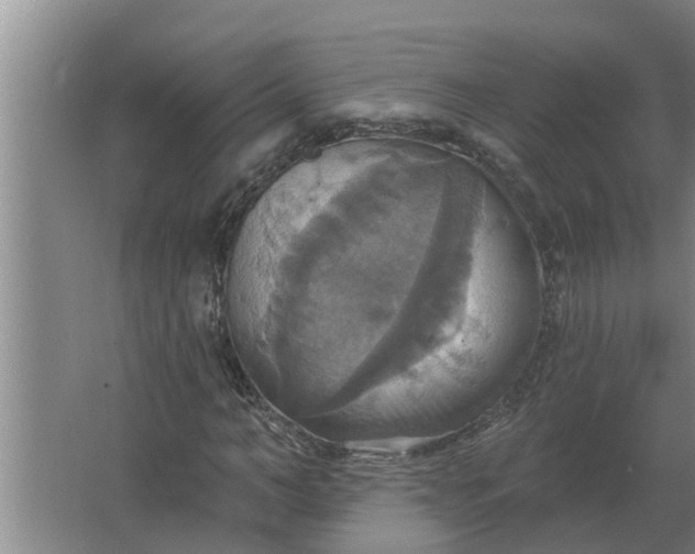 X0000063510966200602032039