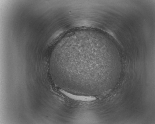 X0000063510967200602032039