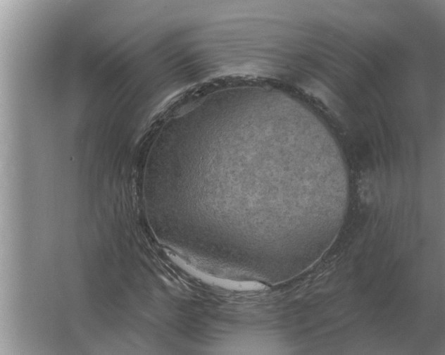 X0000063510968200602032039