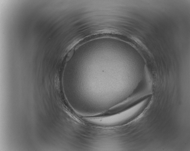 X0000063510969200602032039