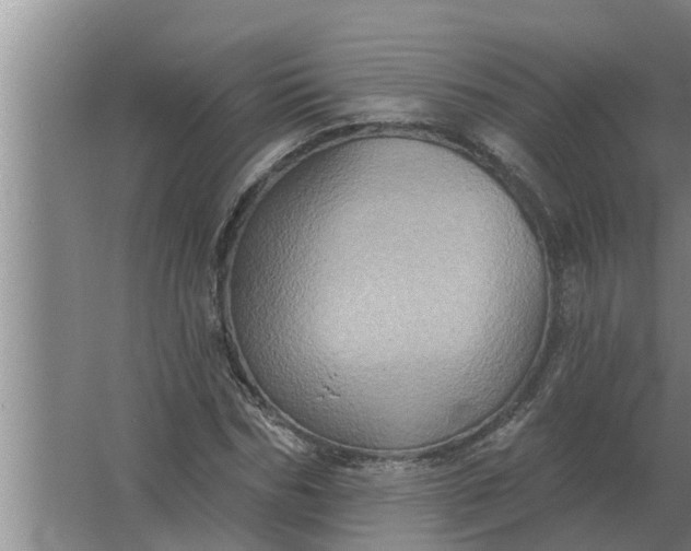 X0000063510970200602032039