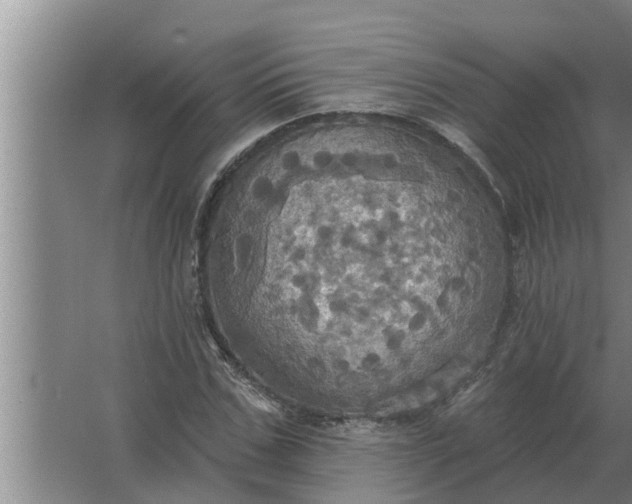 X0000063510971200602032039