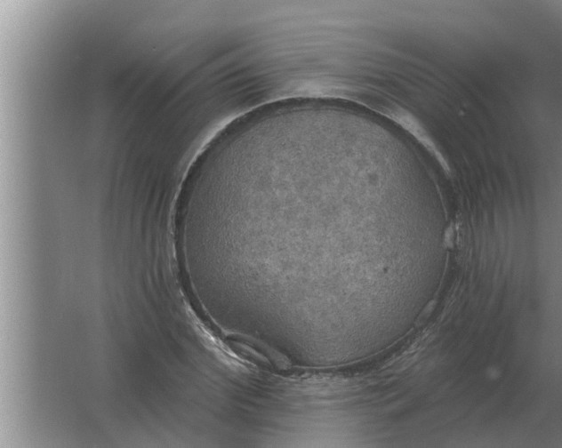 X0000063510972200602032039