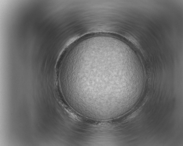 X0000063510974200602032039