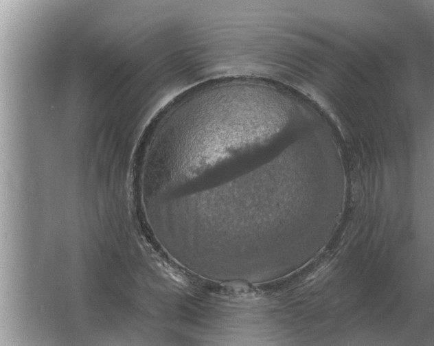 X0000063510975200602032039