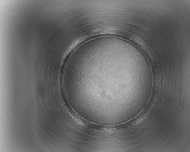 X0000063510978200602032039