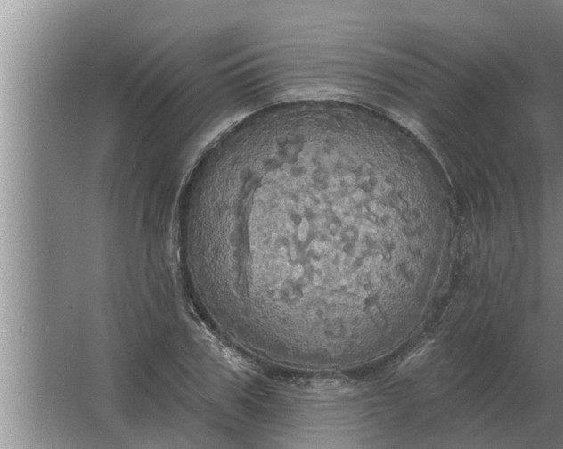 X0000063510979200602032039