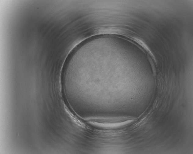 X0000063510980200602032039