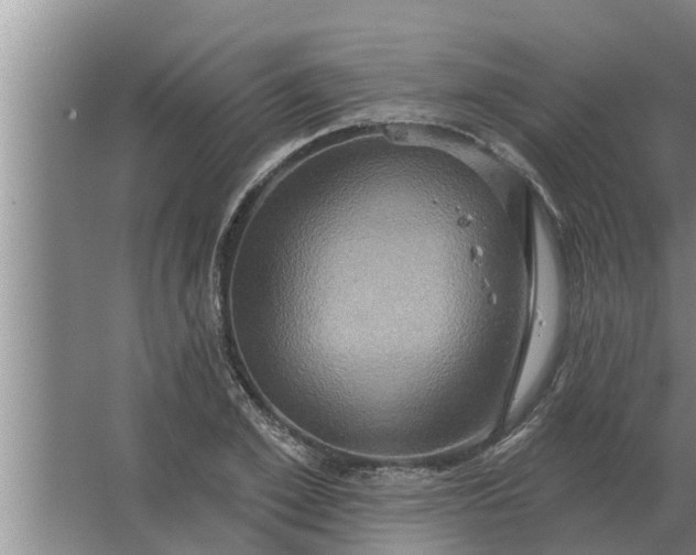 X0000063510981200602032039