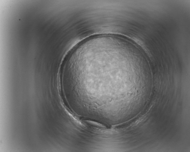 X0000063510982200602032039