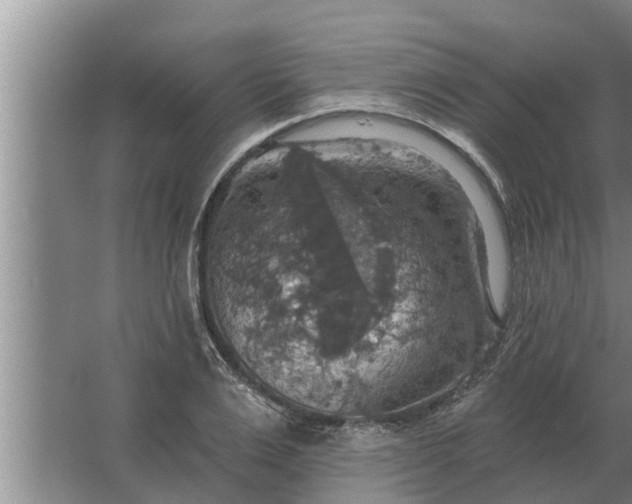 X0000063510983200602032039