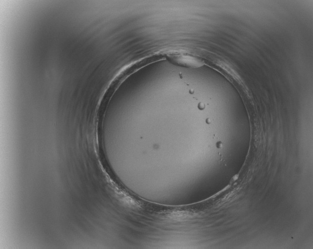 X0000063510984200602032039