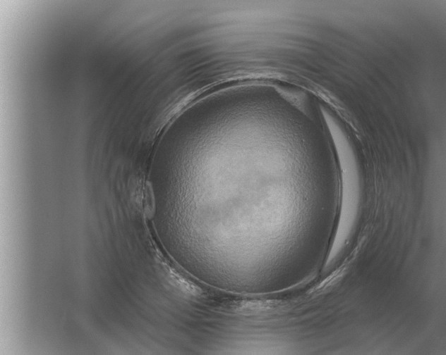 X0000063510985200602032039