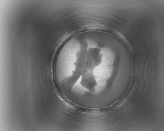 X0000063510986200602032039