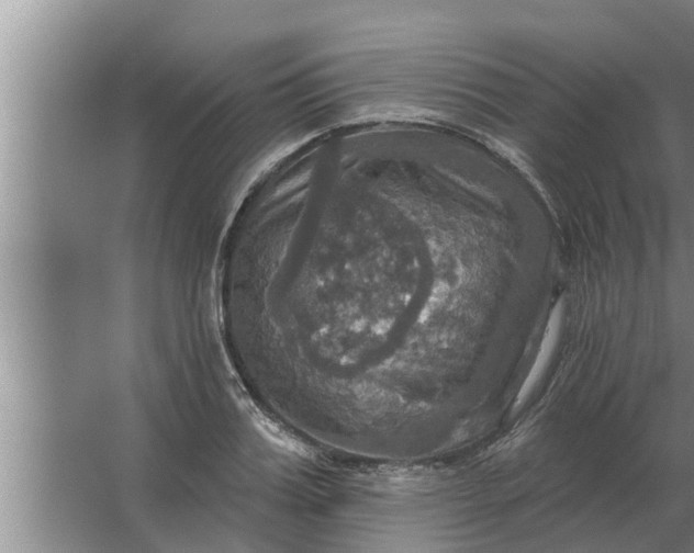 X0000063510987200602032039