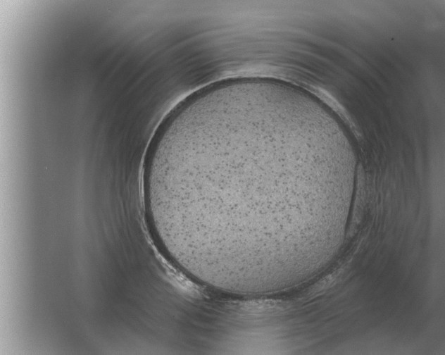 X0000063510988200602032039