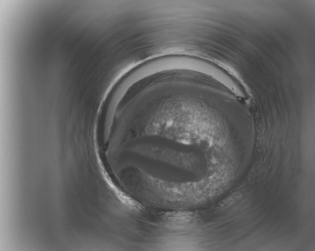 X0000063510991200602032039