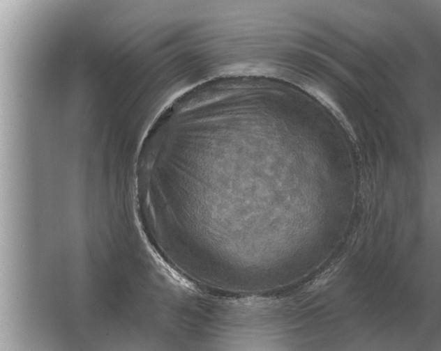 X0000063510992200602032039