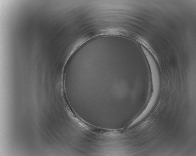 X0000063510994200602032039