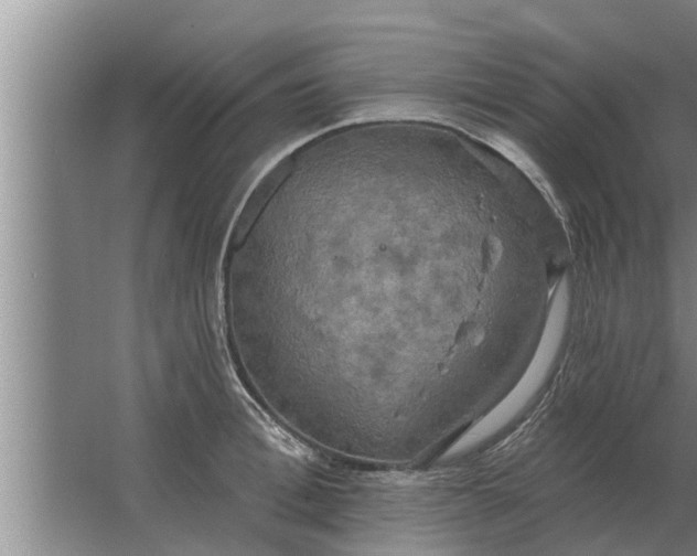 X0000063510996200602032039