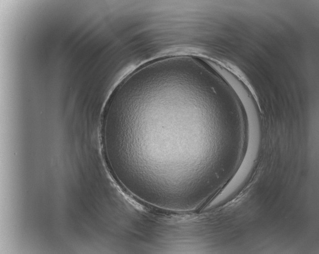 X0000063510997200602032038