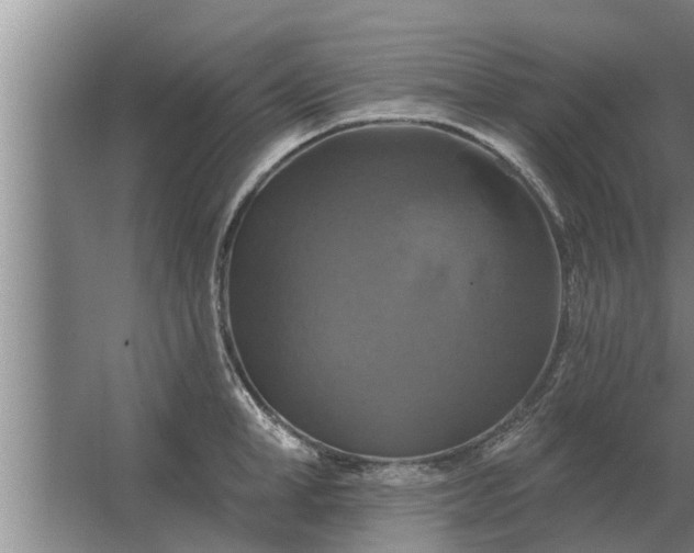 X0000063510998200602032038