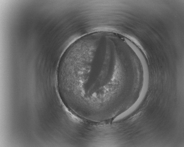 X0000063510999200602032038