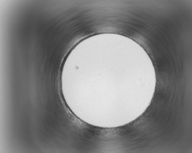 X0000063511000200602032038