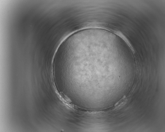 X0000063511004200602032038