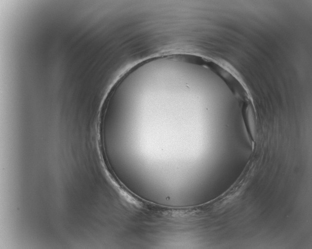 X0000063511005200602032038