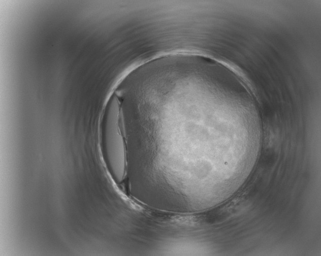 X0000063511006200602032038