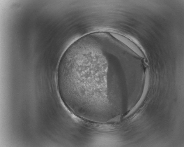 X0000063511007200602032038