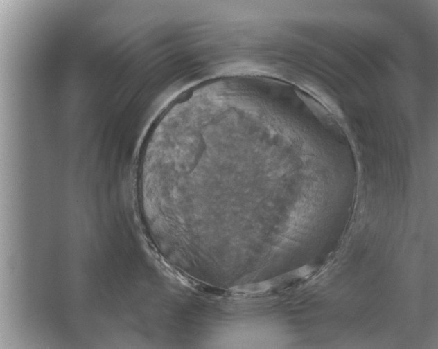 X0000063511008200602032038