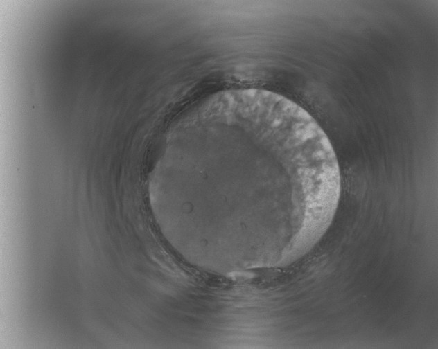 X0000063511009200602032037