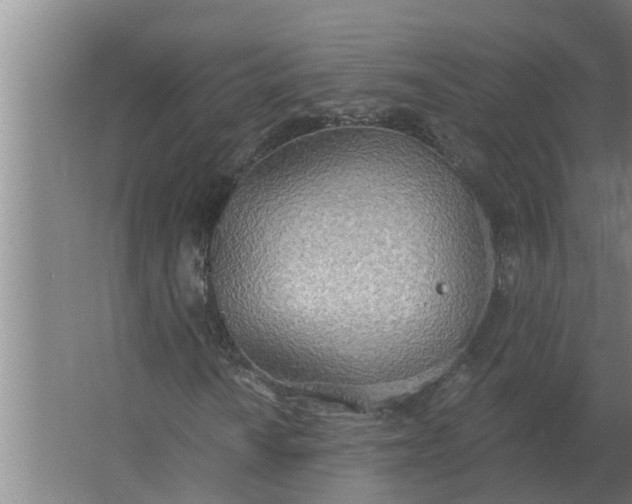 X0000063511010200602032038