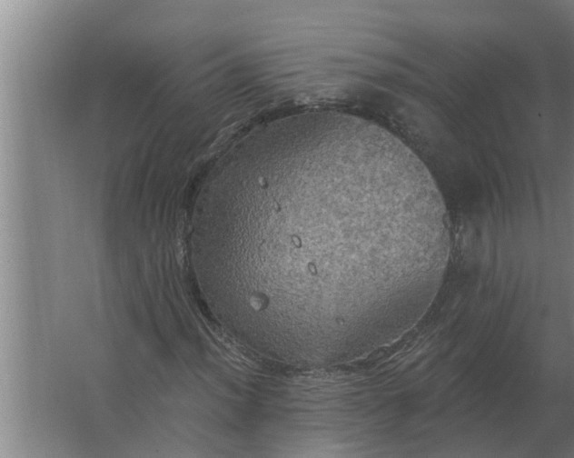 X0000063511012200602032038